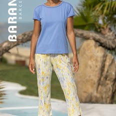 Barandi Brisa-12