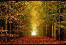 herfstfoto